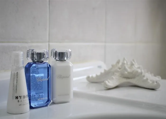 Stardust, The Studio